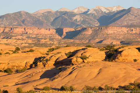 Slickrock Trail