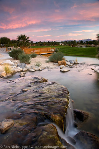 The golf course at the Springs at Borrego,