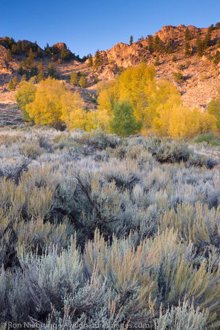Gunnison, Colorado