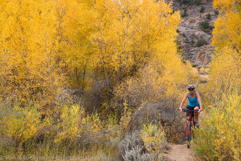 Mountain Biking, Gunnison, Colorado