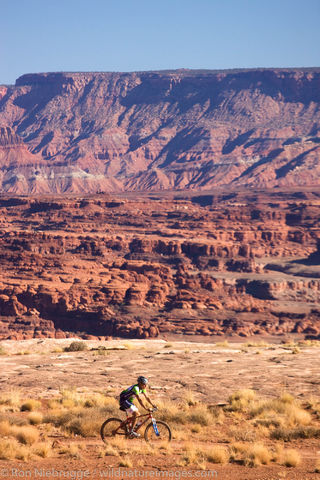 Mountain biking on the White Rim Trail
