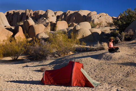 Camping, Joshua Tree National Park