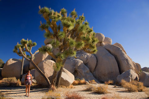 Hiking, Joshua Tree National Park