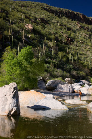  Sabino Canyon Recreation Area