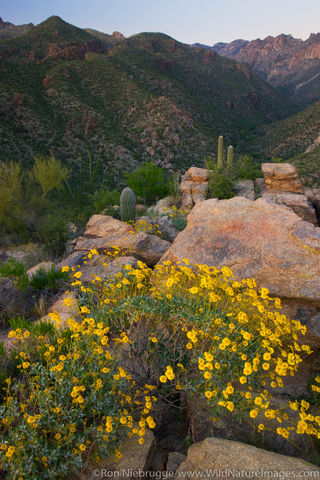 Sabino Canyon Recreation Area