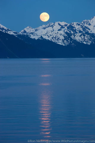 Resurrection Bay