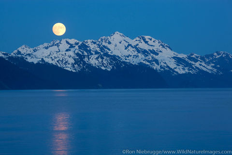 Resurrection Bay