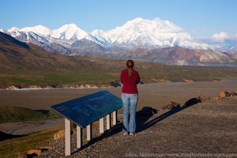 Denali National Park