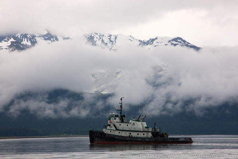 Tug Boat