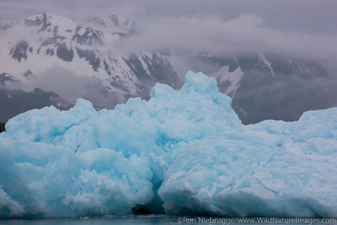 Aialik Glacier