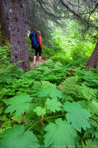 Resurrection River Trail