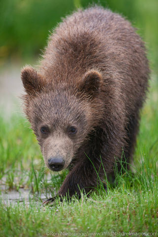 Lake Clark National Park