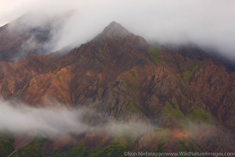 Denali National Park