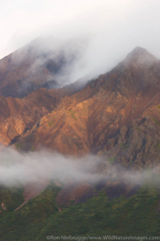 Denali National Park