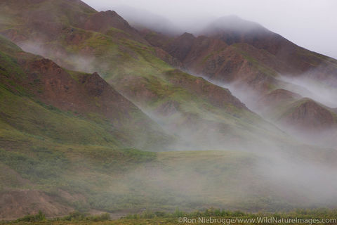 Denali National Park