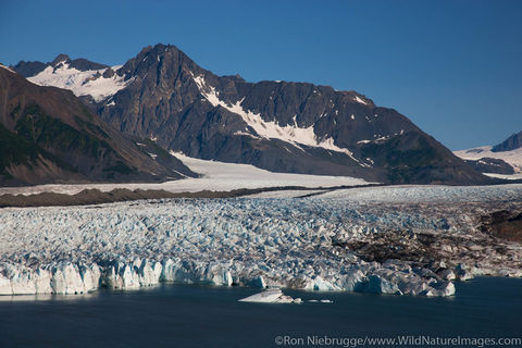 Aerial of Bear Glacier