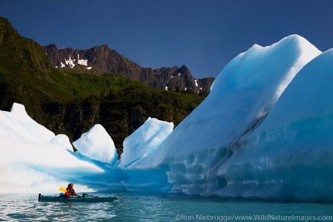 Kayaking in Bear Lagoon