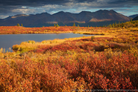 Autumn Landscape