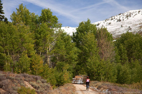 Mountain Biking
