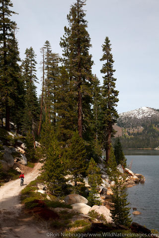 Mountain Biking Flume Trail