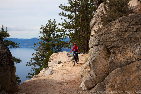 Mountain Biking Flume Trail