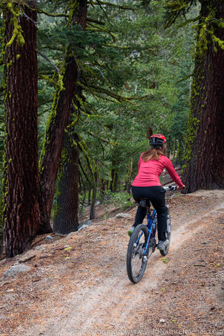 Flume Trail