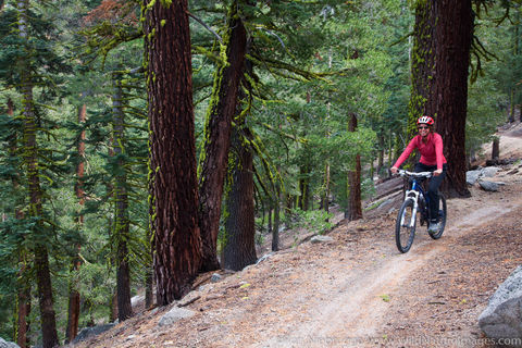 Flume Trail
