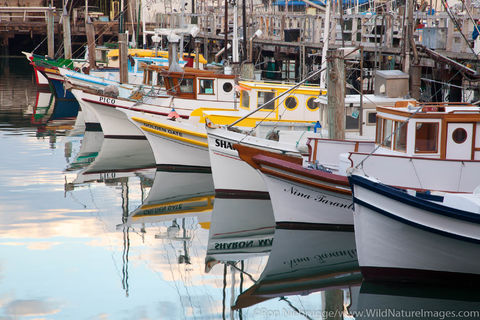 Monterey Hull Boats