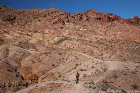 Bootleg Canyon 