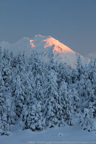 Chugach National Forest