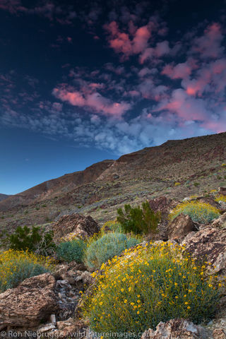 Anza-Borrego