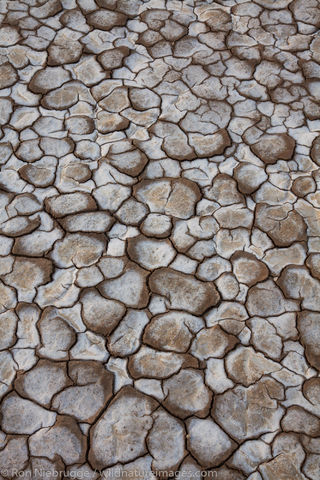 Anza-Borrego