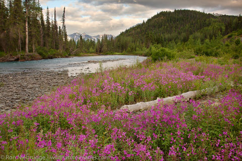Six Mile Creek