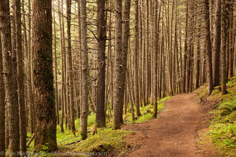 Winner Creek Trail