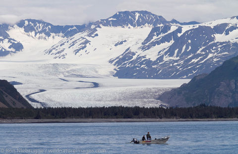 Bear Glacier