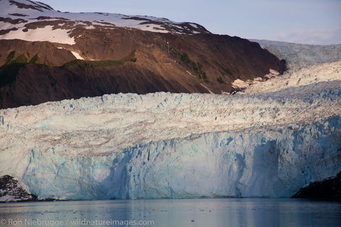 Aialik Glacier