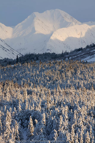 Winter in Alaska