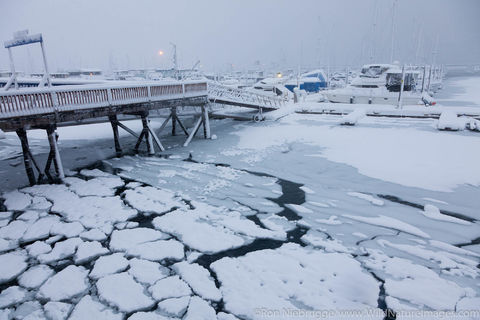 Seward Boat Harbor