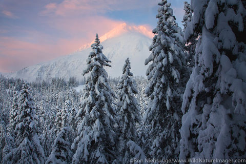 Kenai Fjords National Park