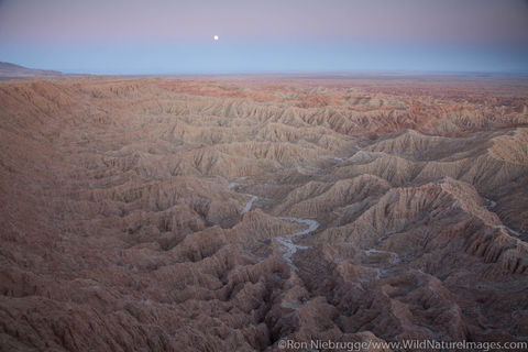 Font's Point