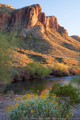 Salt River