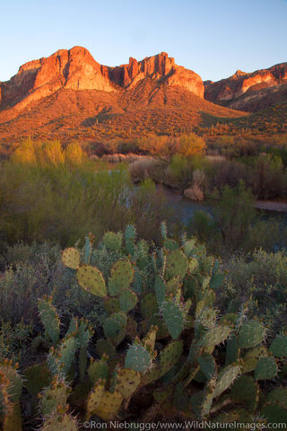 Salt River