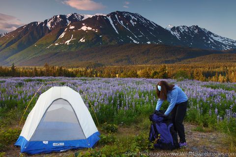 Tent Camping