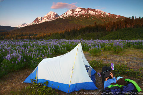 Tent Camping