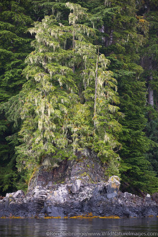 Tongass National Forest