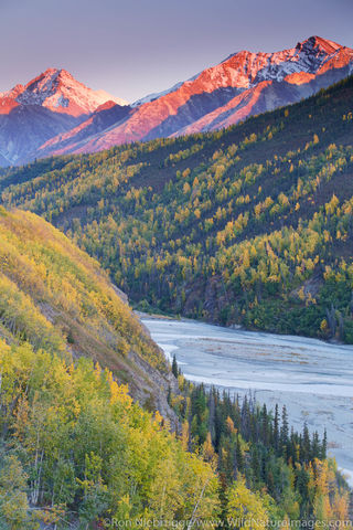 Matanuska River Valley