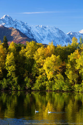 Autumn Reflection