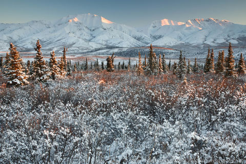 Denali National Park