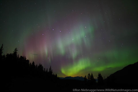 Aurora Borealis