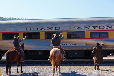Grand Canyon Railroad  